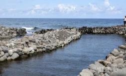 pecheur de la riviere de saint-denis 