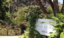Des vols d\'arbres sont observés sur le site de la Grotte des Premiers Français.