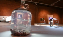 Du "vin de souriceaux" chinois est proposé aux visiteurs du Musée de la nourriture dégoûtante qui a ouvert dimanche à Los Angeles