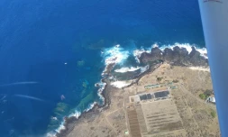 Baleines : la fin de saison semble se confirmer