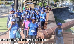 Marche bleue 