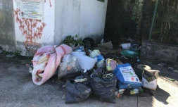 band cochon 5 juin 2021