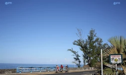 panneaux danger requins