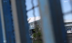 Sib