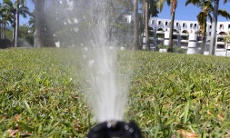 Irrigation