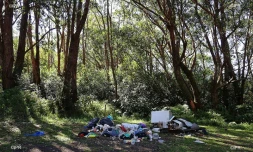 déchets 