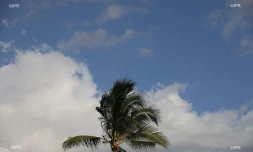 météo réunion 
