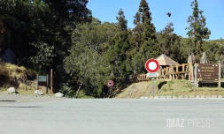 route forestière des tamarins RF9