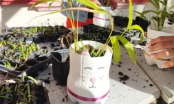 Kdo'r fête des pères