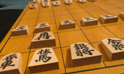 Shogi : une association veut populariser les échecs japonais à La Réunion
