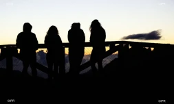 illustrations photos 