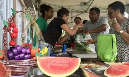 Vivez la "fraîch'attitude" avec les villages de fruits et légumes frais 