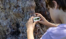 Biodiversité, enfant, sensibilisation, arbre, territoire, élève 