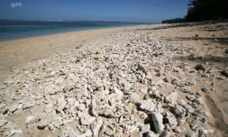 Plage de l\'Hermitage