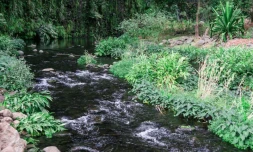 Réseau de la Rivière Saint-Denis