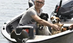 Un bénévole avec des chiens rescapés de l'inondation qui a suivi la destruction du barrage de Kahkovka, à Kherson en Ukraine le 8 juin 2023