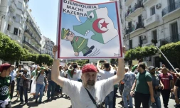 Défilé dans les rues d'Alger pour la 19e manifestation hebdomadaire