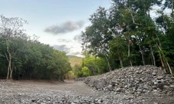 Ravine des Lataniers
