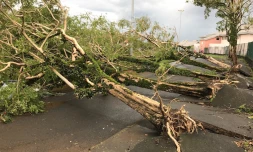 Ville de Saint-André après le passage de Fakir