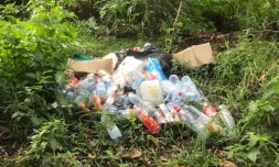 Band Cochon : 180 photos pour 11 villes cette semaine