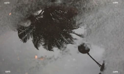 météo réunion 