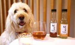 Un chien nommé "Mo" se tient à côté d'échantillons de vin pour animaux de compagnie, à Wellington, le 13 octobre 2025