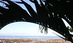 Lagon 