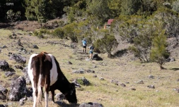 Grand Raid 2019, départ, Ravine blanche, octobre 2019, diagonale des fous