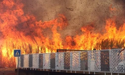 Incendie à la Rivière des Pluies