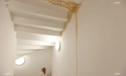 logement insalubre 