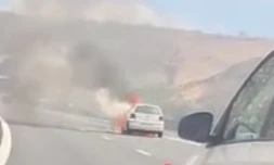 Plateau Caillou : la voie de droite neutralisée dans le sens nord-sud