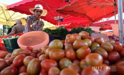 marché forain tomates