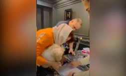 Iran : un agent immobilier arrêté pour la vente d'une maison à un chien