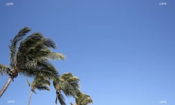 météo réunion 