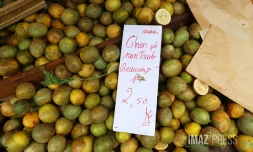 Citron pays 