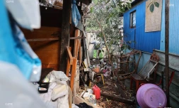 moustique nettoyage vid fond de kour ravine à marquet