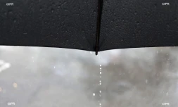 pluie 