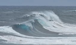 forte houle australe 