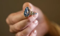 Le diamant Bleu Royal de 17,61 carats, le 2 novembre à Genève ( AFP / PIERRE ALBOUY )