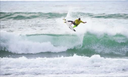 Surf