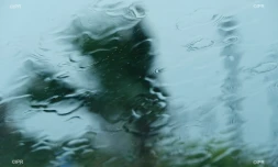 pluie 