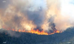 Feu du Maïdo