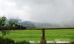 plaine des cafres 