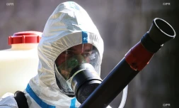 Vendredi 5 avril 2019 - opération de démoustication à la Ravine des Cabris
