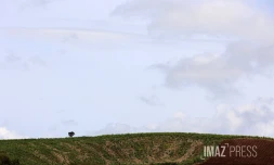 météo réunion 