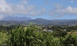 Météo Réunion 