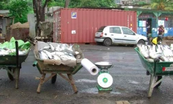 Ferme aquacole Mayotte