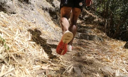Grand raid 2014