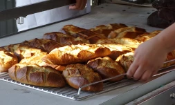 Fête du pain