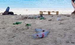 Hermitage gueule de bois